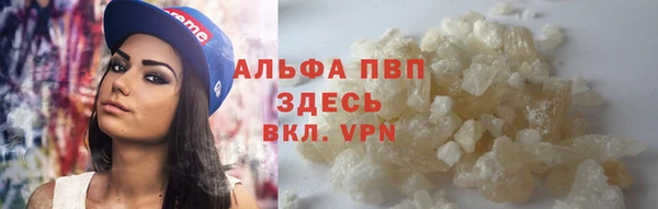 твердый Арсеньев