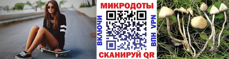 Псилоцибиновые грибы ЛСД  дарнет шоп  Коряжма 